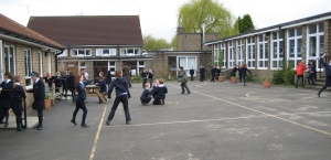 Thumb photo 207632